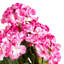 Buisson de géranium artificiel 19,5 po-20583792