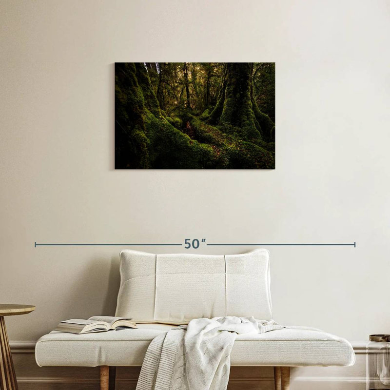 Forêt tropicale Harnek Milford Sound, H 20 po x l 30 po