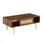 Table basse en rotin PE, porte coulissante pour le rangement, pieds solides, table moderne pour le salon-1887092466