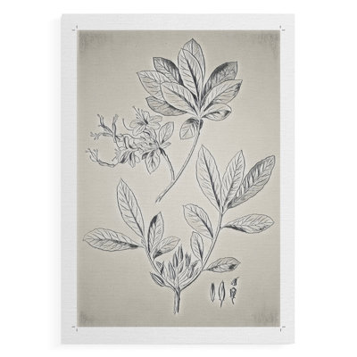 Vintage Floral Print CCXIII -Canvas Print Only - NOT FRAMED