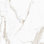 Carreau de mur et de sol en porcelaine beige 12 x 12 Regalia (13,56 pieds carrés / caisse) - paquet de 14