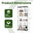 Jabdiel 5-Shelf Tempered Glass Display Cabinet with LED Light,  and 2 Doors-239316947