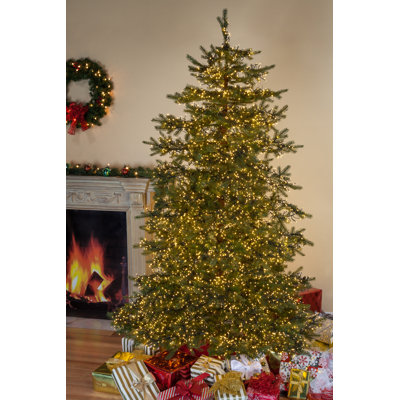 7.5' H Lighted Artificial Pine Christmas Tree