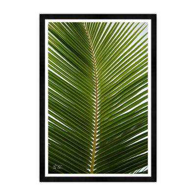 Tropical Palm Print by Tim Klein