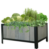 Madicyn Raised Garden Bed