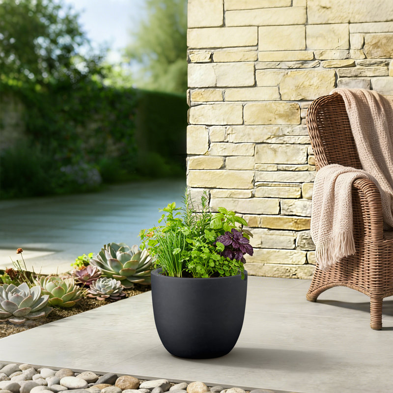 13.5" W x 11.5" H Medium Dark Charcoal Concrete Tall Round Planter / Pot with Drainage Hole for Indoor & Outdoor