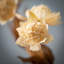 Nod To Nature Blossoming Dahlia Stem