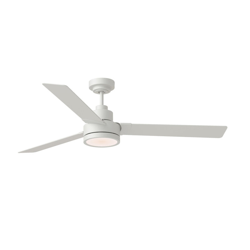 Ventilateur de plafond d'extérieur à DEL standard à 3 pales de 58 po avec pièces de contrôle de ventilateur et ensemble d'éclairage inclus