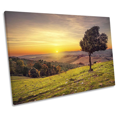 Tuscany Sunset Olive Tree 1 Piece Wrapped Canvas Wall Art