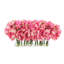 Peonies Arranged in a Glass Vase-1218887326