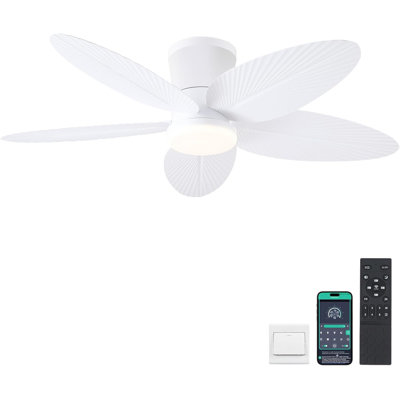 Fan Light