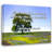 Fleur De Lis Living Gallery Wrapped Canvas By Andrew Scott: "Find out who you are and try not to be afraid