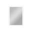 Rectangle Mirror-766647779
