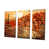 Wrapped Canvas