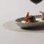 Assiette à hors-d'œuvre Elemento