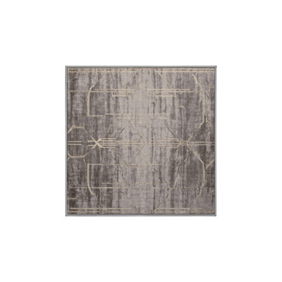 Machine Washable Gray Area Rug