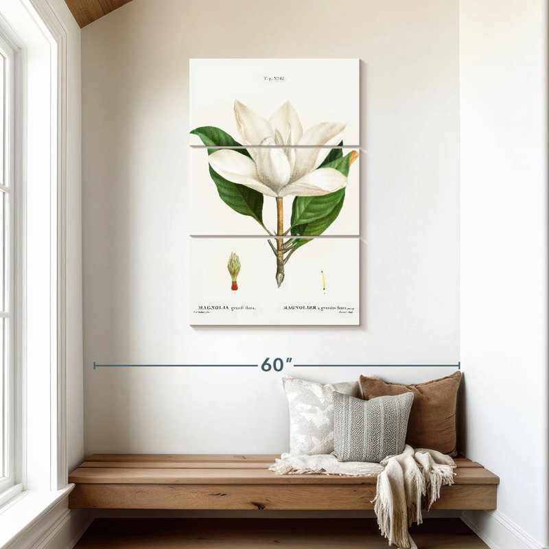 Harnek Magnolia du Sud, H 45 po x l 28 po