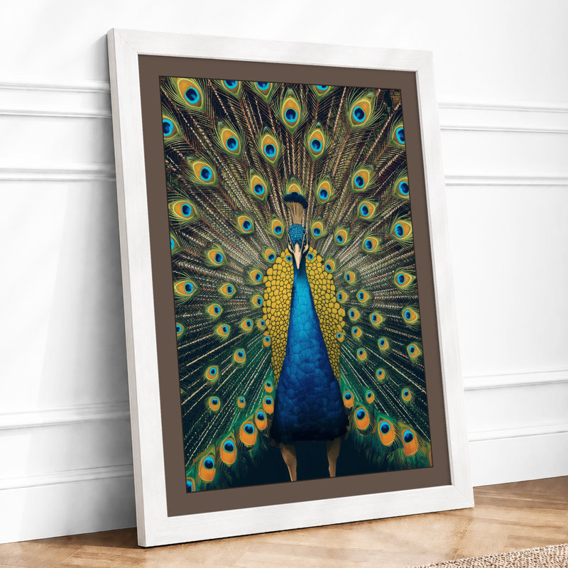 Peacock in Display Modern - Framed Print, A2 - 59.4 x 42.0 cm, White