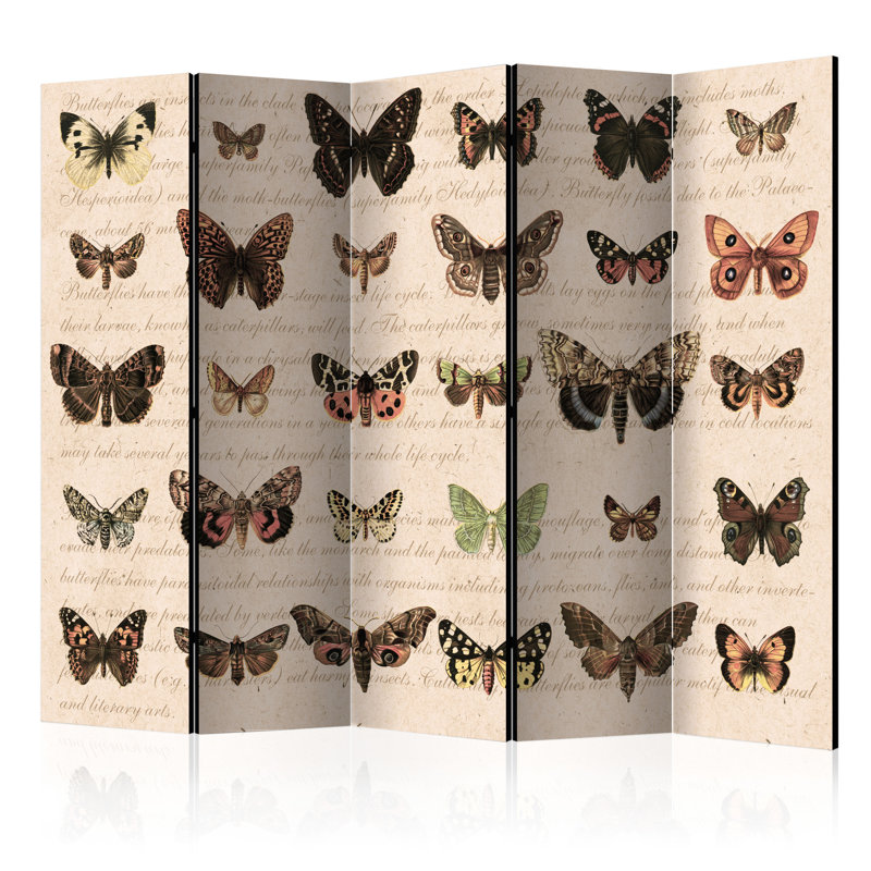 Cowles Solid Wood Folding Room Divider, 5