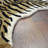 Allardt Wool Animal Print Indoor Rug-29997131