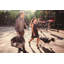 Sac de transport pour animaux Pewitt Cozy-1786520379-1786520326