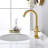 2-handle Bathroom Faucet with Drain Assembly