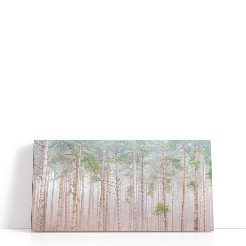 «Misty Forest», reproduction d'art sur toile, H 30 po x l 60 po