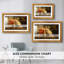 Vénus et Adonis, v. 1635 - Peter Paul Rubens - Toile encadrée sur mesure-129246837-129246838-129246843