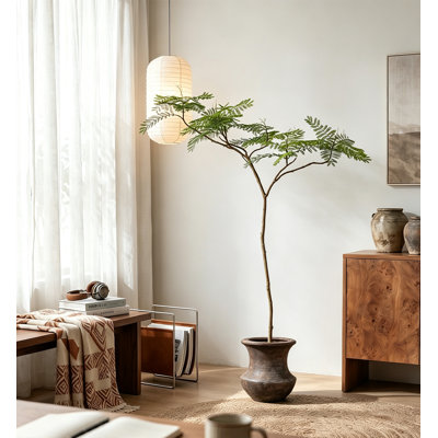High Imitation Green Plant Jacaranda Tree