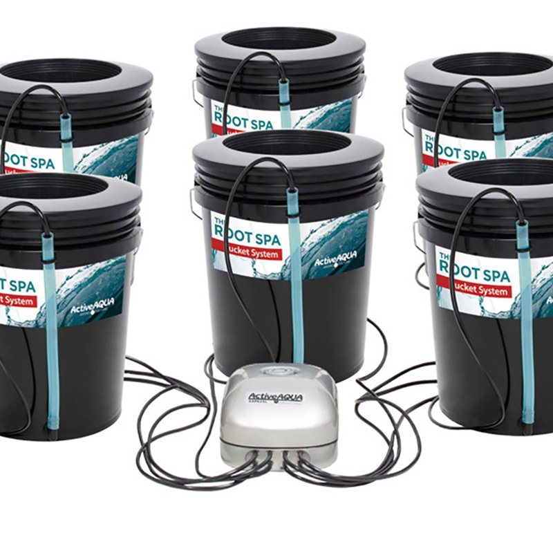 Black 5-Gallon Hydroponic 4-Bucket Deep Water Culture System