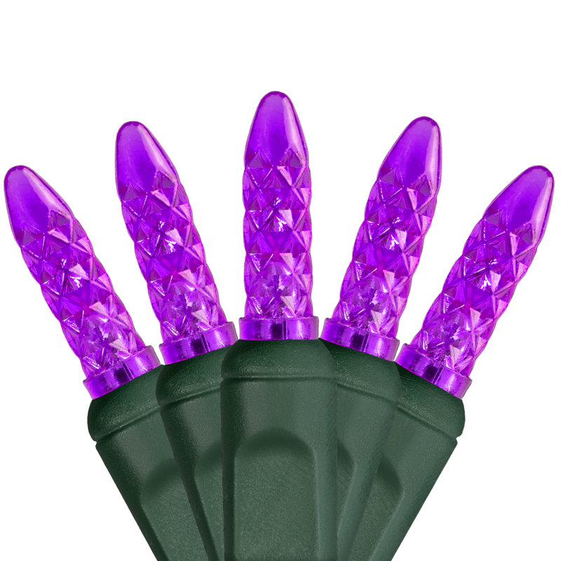 288'' LED String Lights, Purple