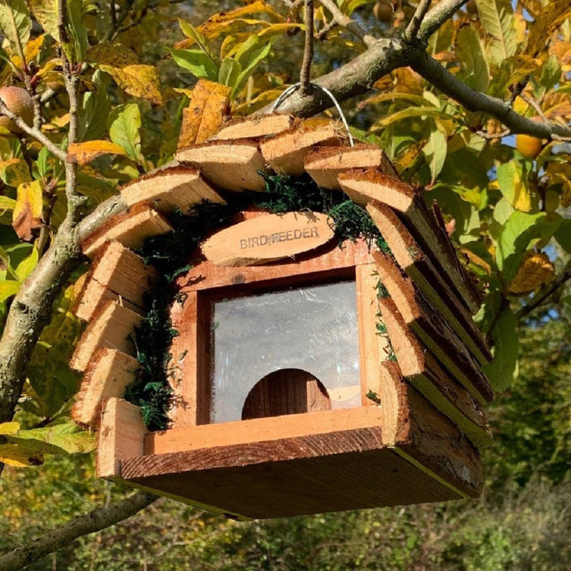 Newtonsville Wood Hanging Hopper Bird Feeder