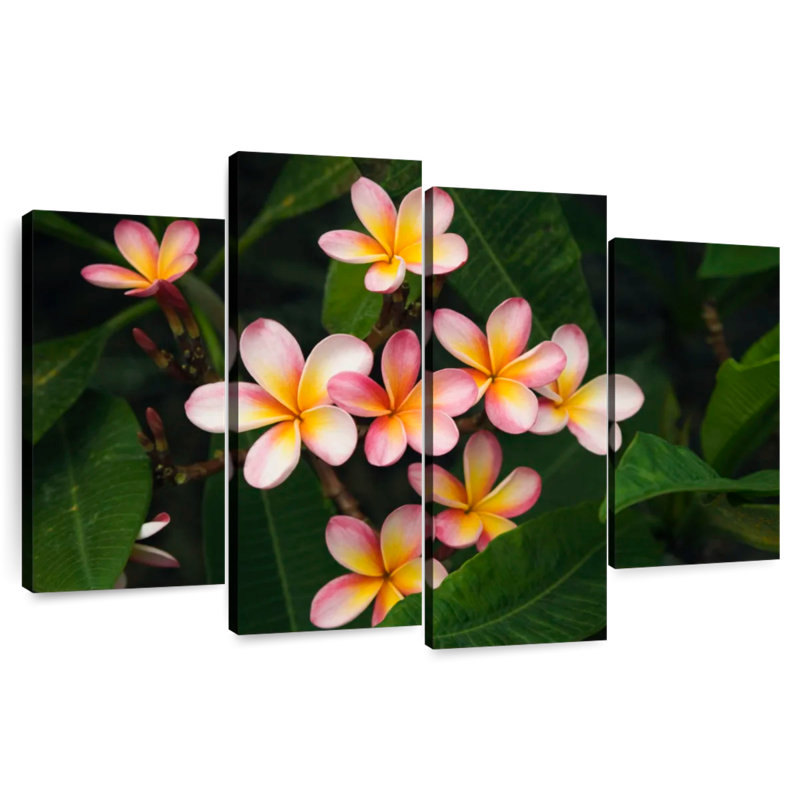 Fleur de plumeria rose clair Harnek, H 42 po x l 68 po