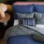 Stripe Square Pillow Cover & Insert