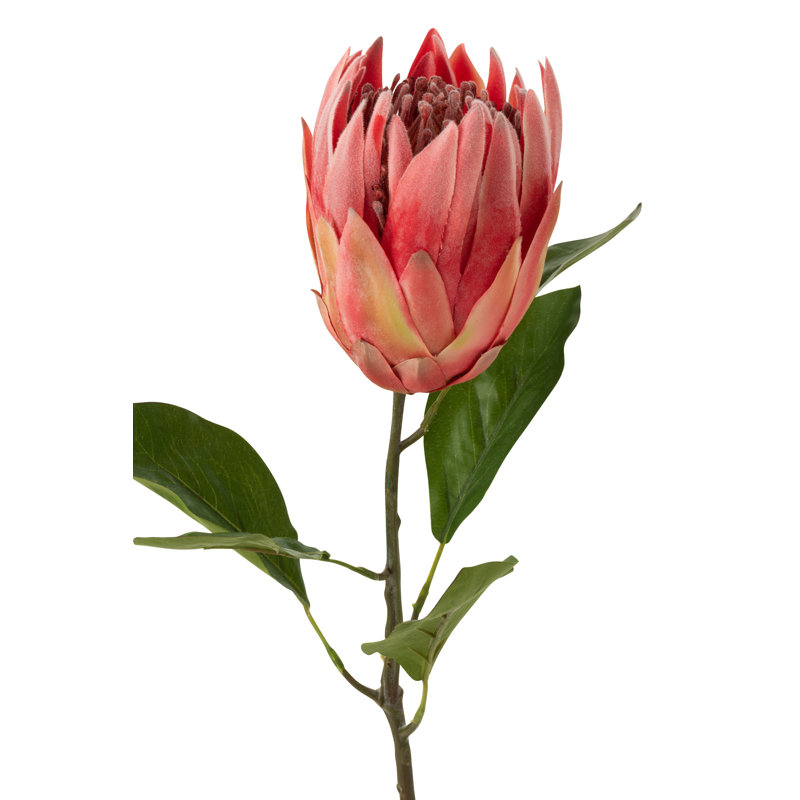 Protea Arrangement, Red