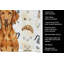 Torchon Vizsla-1234934432