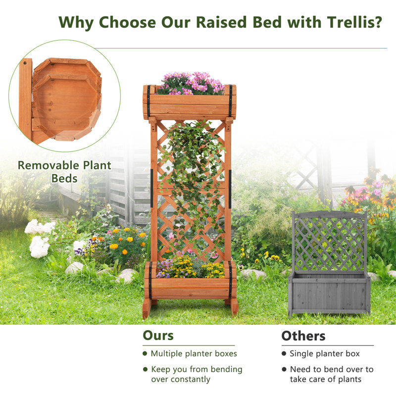 Jardin vertical en bois massif Pacchiana 1,5 pi x 1 pi