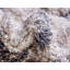 Tapis ikat gris Mitzy-733063212