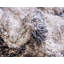 Tapis ikat gris Mitzy-733063215
