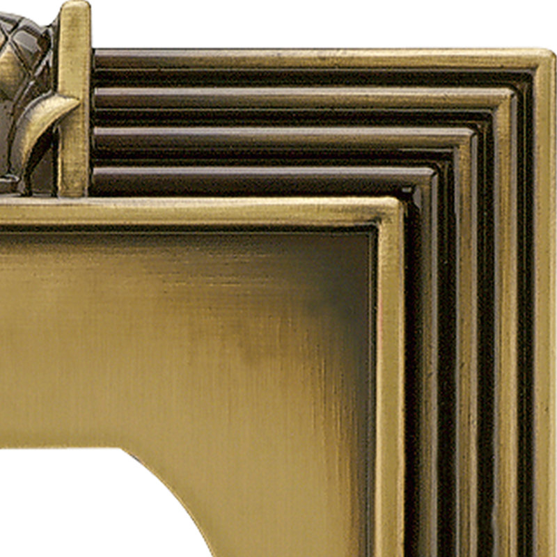 Pineapple 1-Gang Duplex Outlet Wall Plate, Tumbled Antique Brass