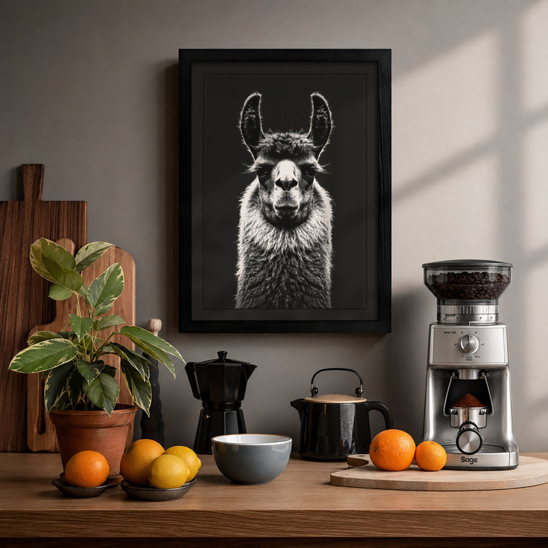Llama Study Minimalist - Print, Black, A3 - 42.0 x 29.7 cm