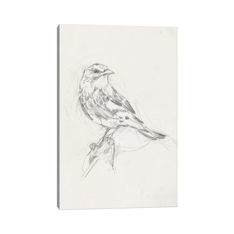 «Avian Study I» par Ethan Harper - reproduction d'art, H 26 po x l 18 po x 1,5 po, Pas de tapis, Toile tendue
