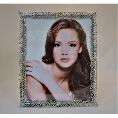 Montpelier Metal Picture Frame