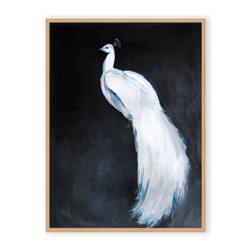 Nature Inspired Alabaster Majesty: White Peacock Against The Night, Framed Matted Print, 30" H x 24" W x 1.125" D, White