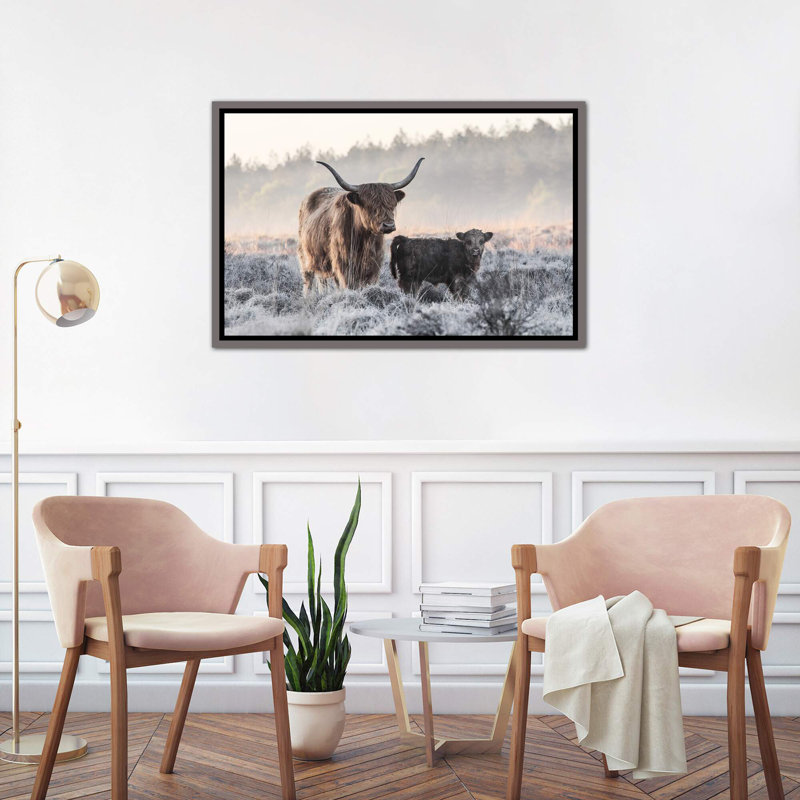 «Highlander and Calf», photographie, Toile encadrée de bois rustique foncé, H 18 po x l 26 po x P 1,5 po