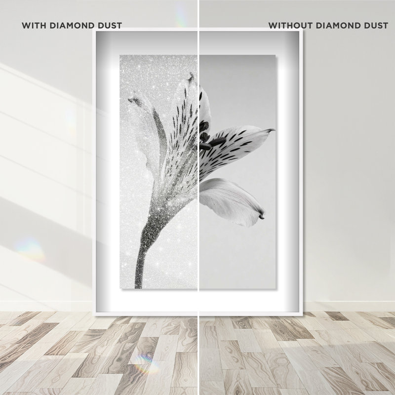 Delicate Spots Framed Graphic Art, 25.5" H x 17.5" W, White Shadowbox