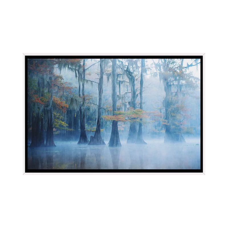 Foggy Swamp Morning by Aijing H - Print on Canvas