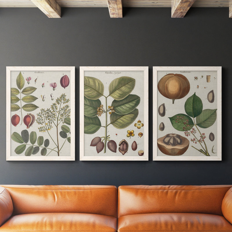Exotic Botanique I - Ensemble de 3 peintures sur toile encadrées, H 43,5 po x l 31,5 po x P 1 po, Blanc