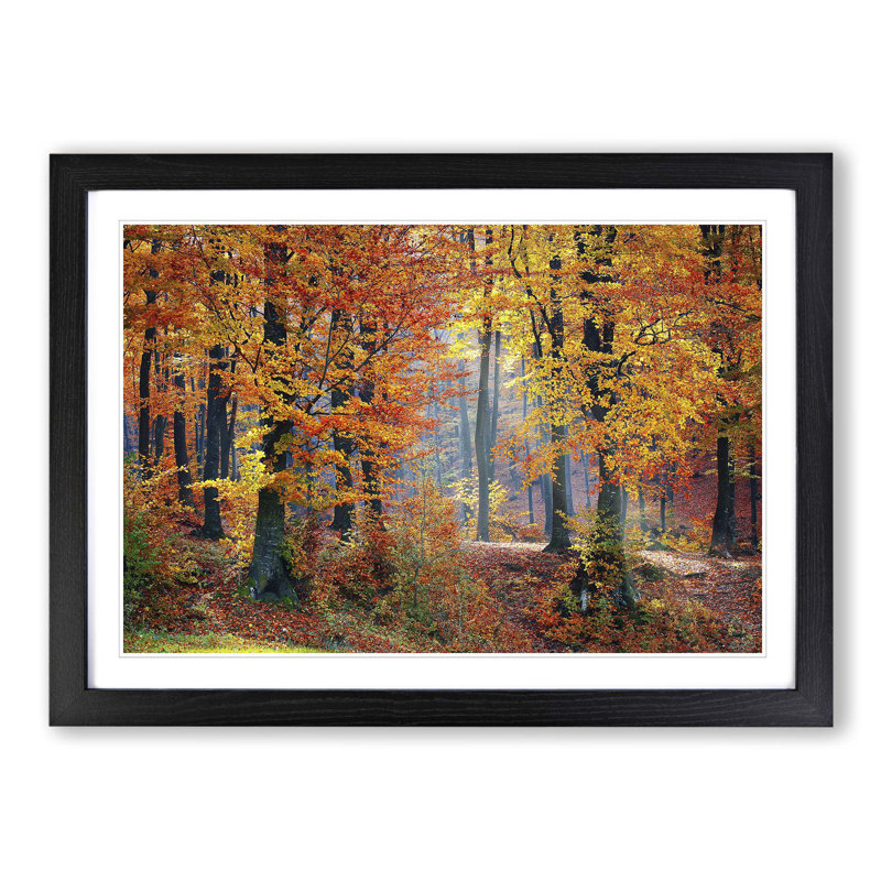Landscape Forest in the Autumn - Framed Print, Black