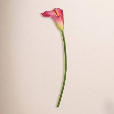Cauldwell Calla Lily Stems
